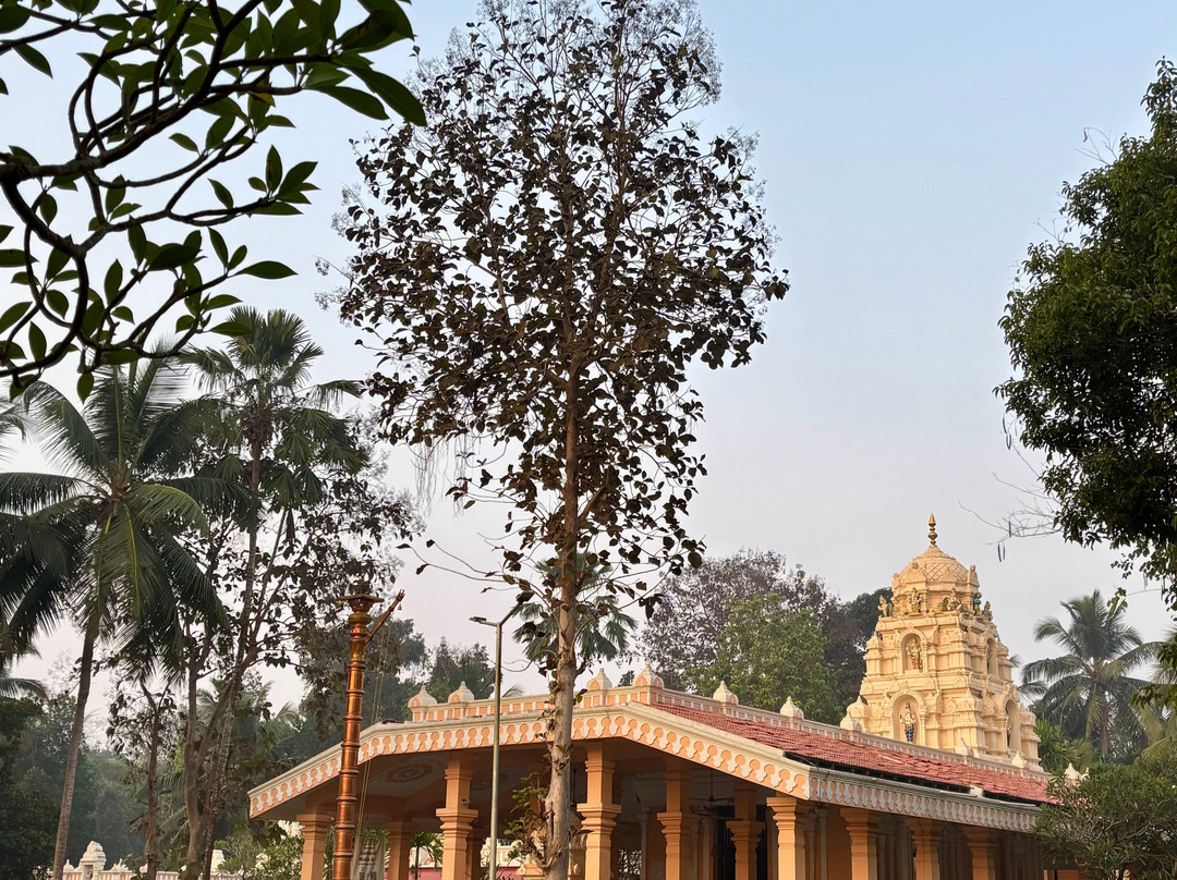 Tvoy Goa Surya Travels-坎多林必去景点