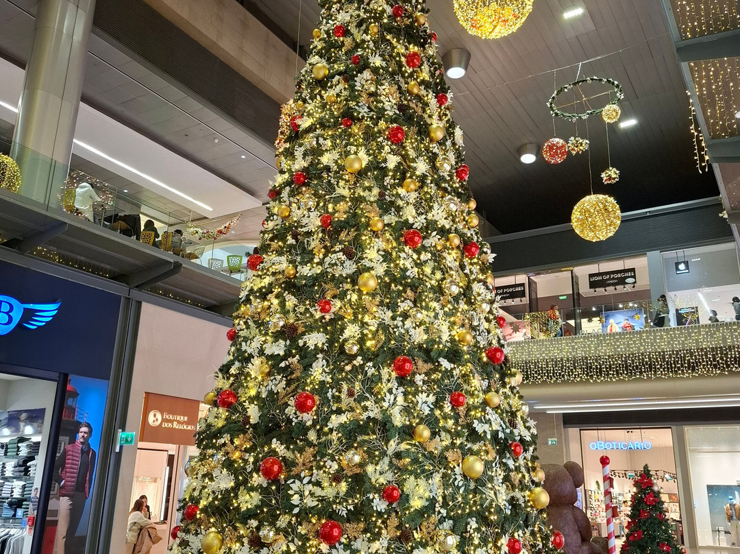 Shopping Braga Parque景点图片