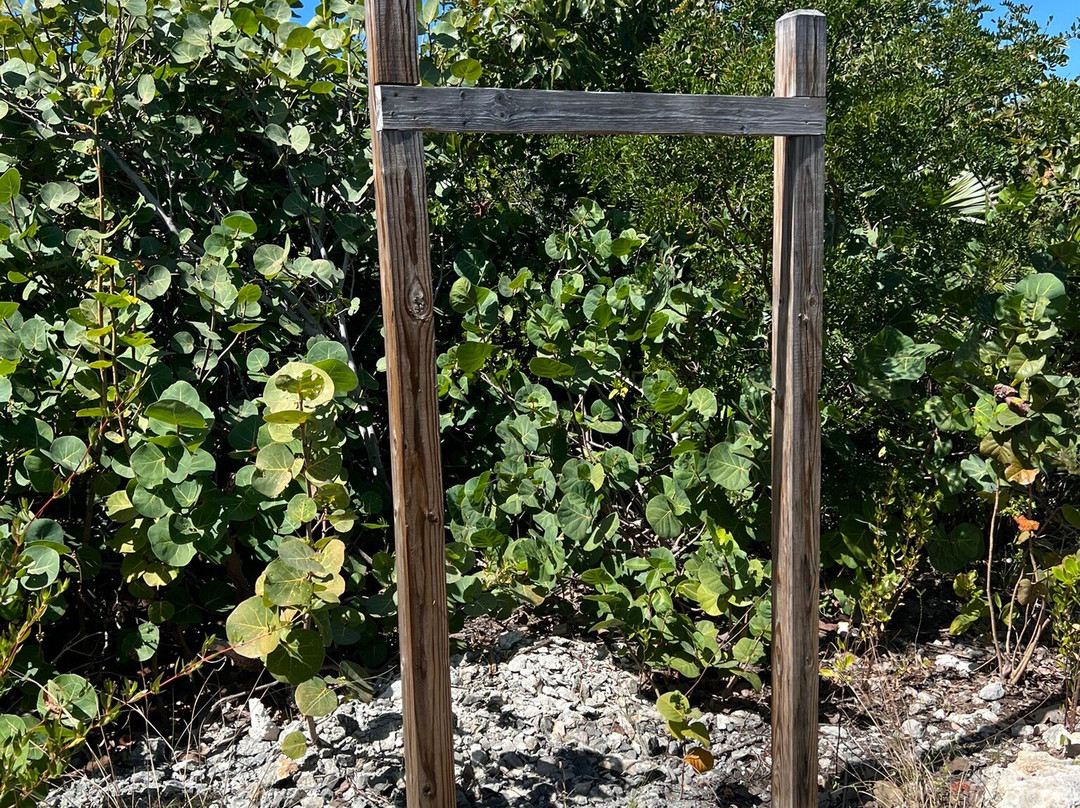 Bird Rock Point Trail-Long Bay Beach必去景点