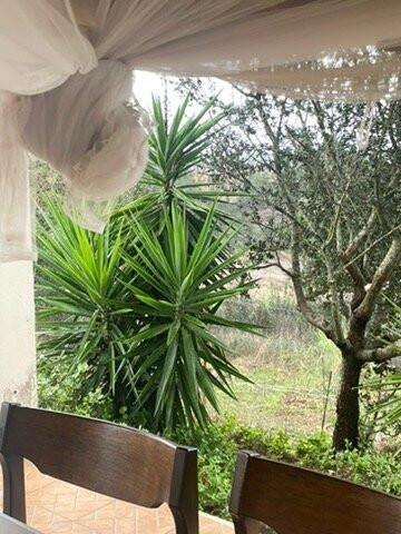 Namufly Loja E Atelier-Ourique必去景点