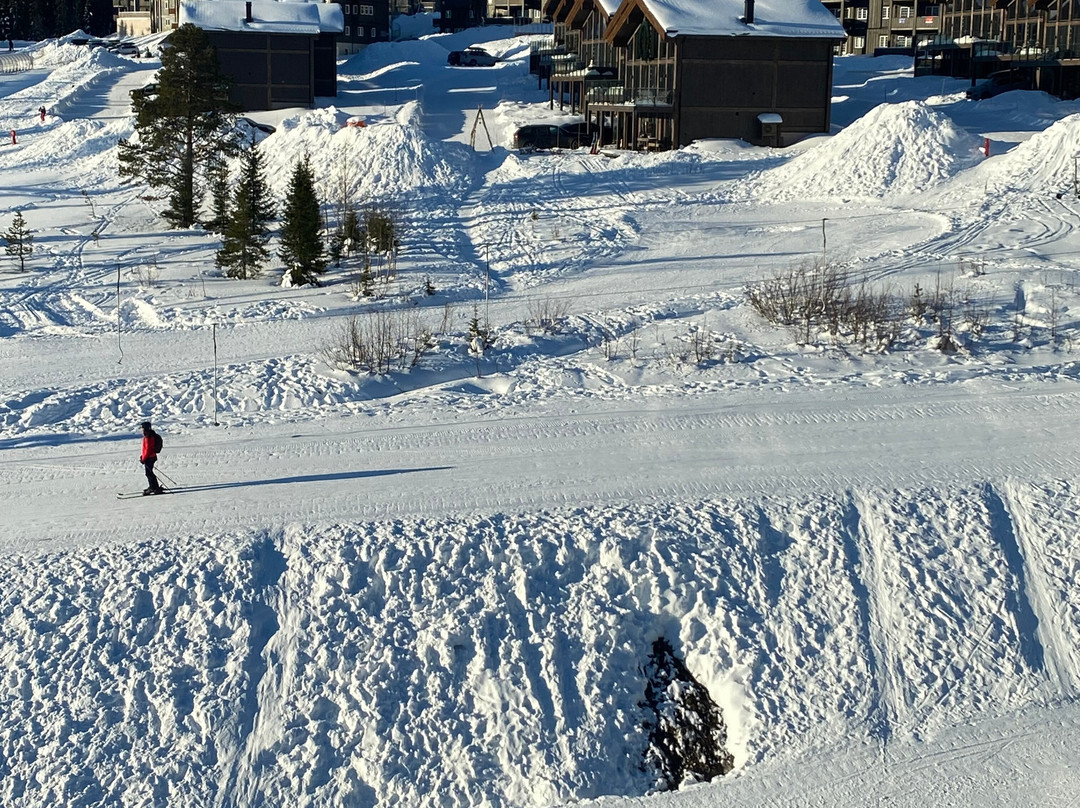 Skistar Lodge Trysil主图