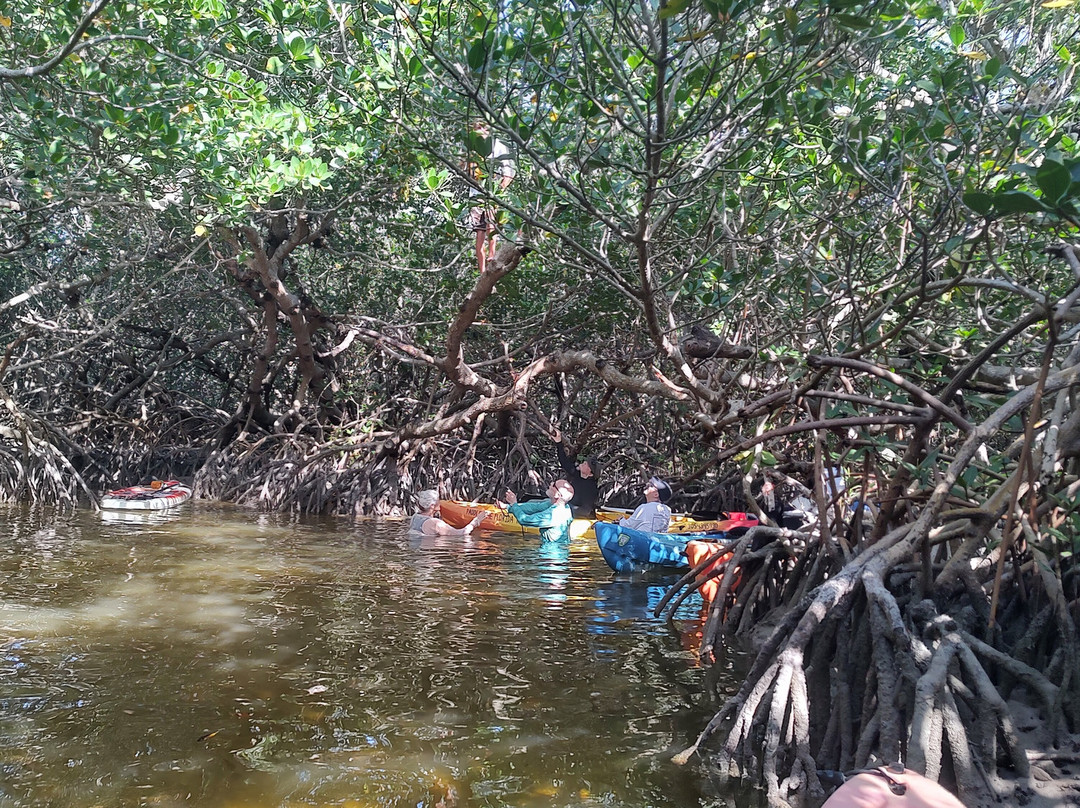 Paddle! the Florida Keys-伊斯拉摩拉达必去景点