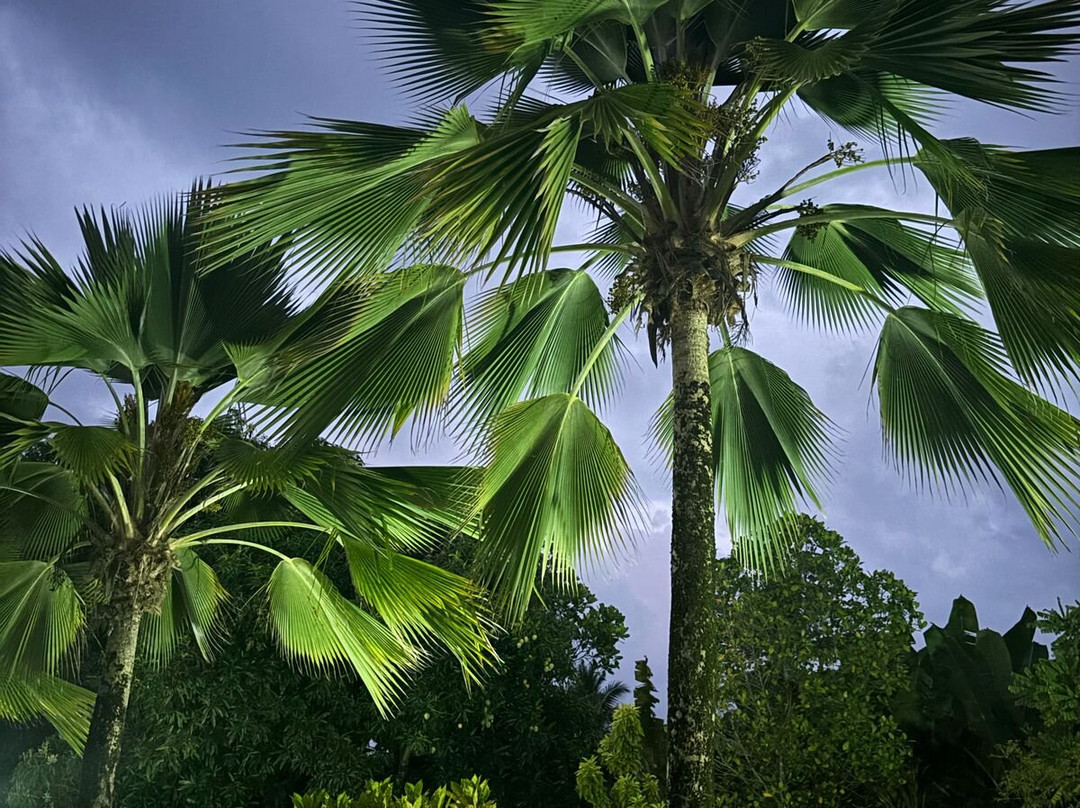 Hide Away Holiday Apartments主图