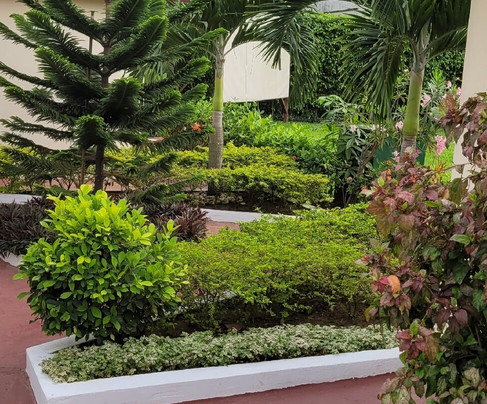 Residence Eburnea主图