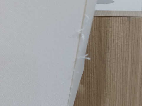 De Palma Resort Kuala Selangor主图