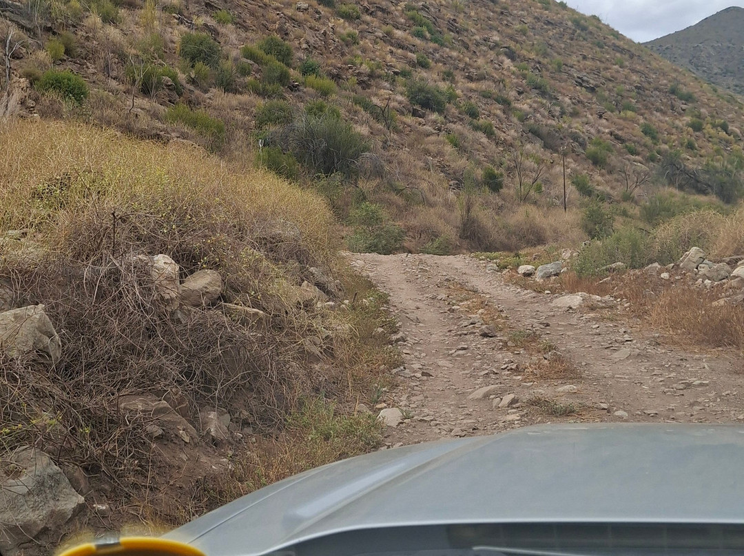 John's Tours-Prince Albert必去景点