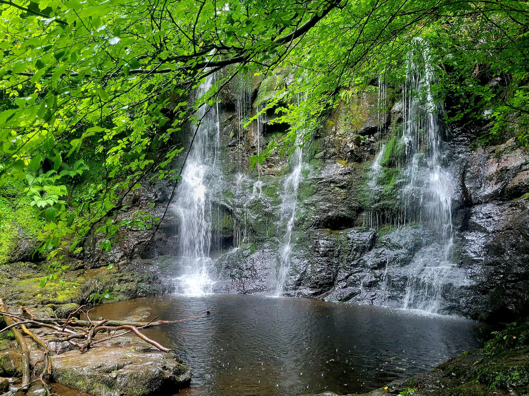 Glenariff Forest Park景点图片