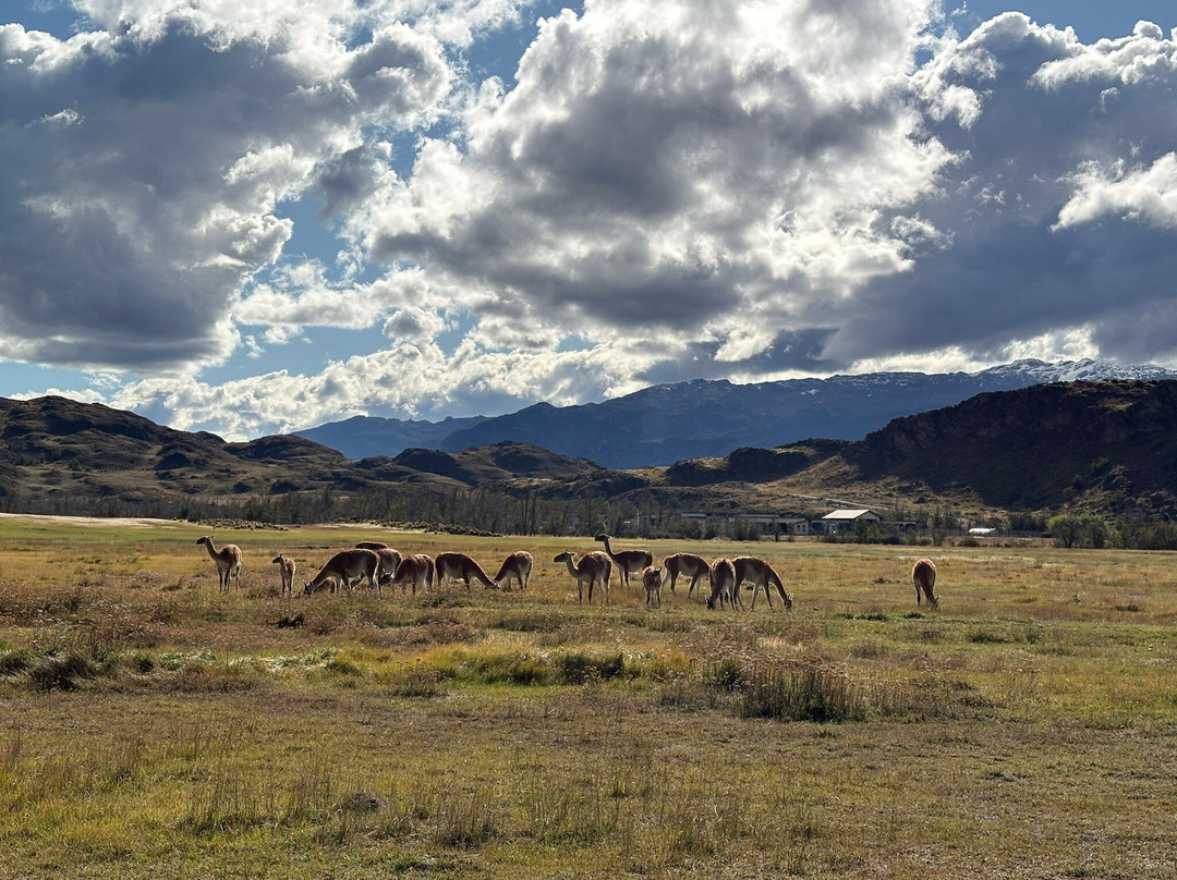 Parque Patagonia-Cochrane必去景点