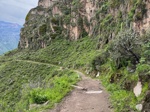 COOL MONKEY AQP - OPERADOR TURISTICO-阿雷基帕必去景点