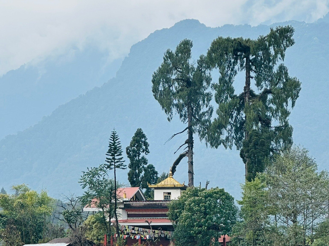 Limboo Homestay主图