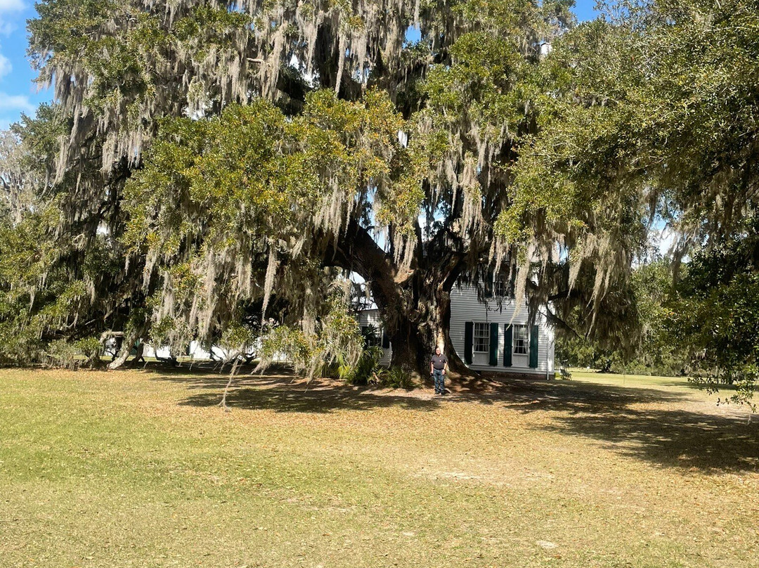 Hofwyl-Broadfield Plantation-不伦瑞克必去景点