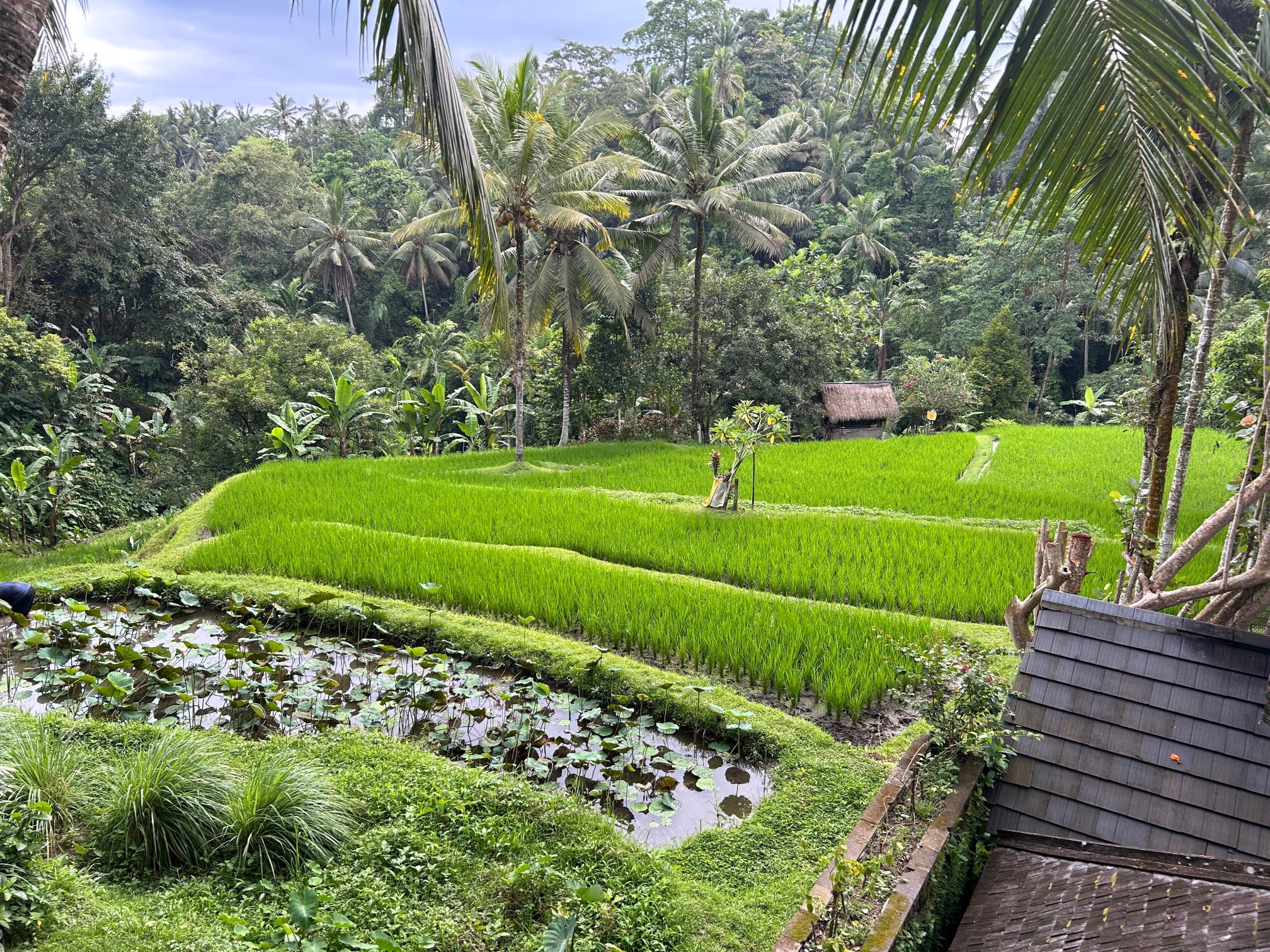 科玛内卡酒店-酒店景观
