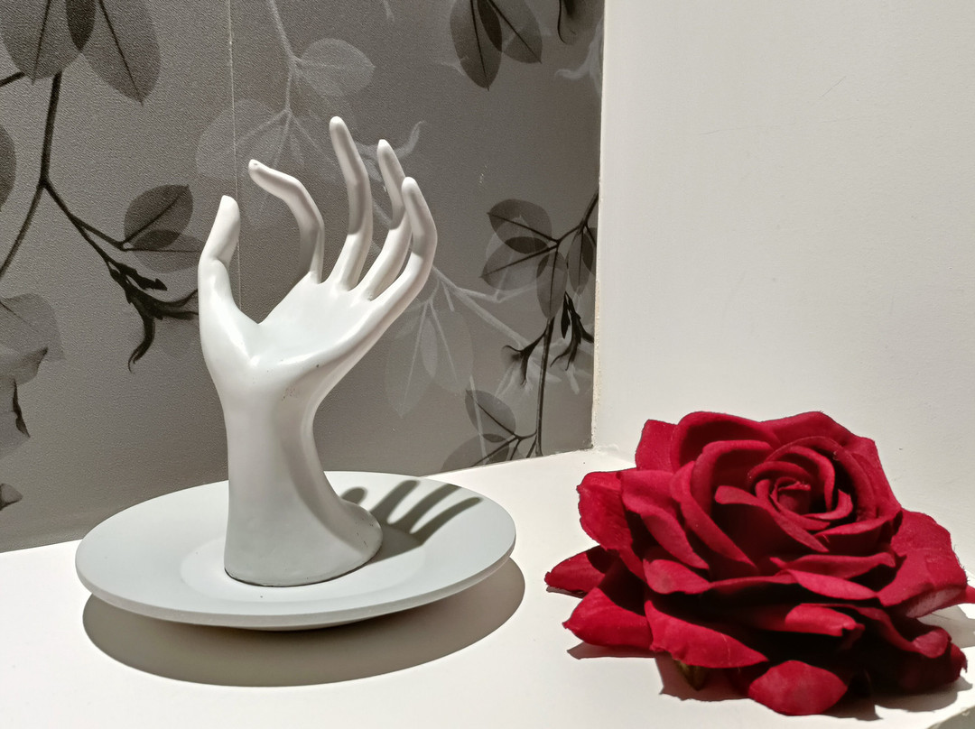 Logis Hôtel la Brasserie主图