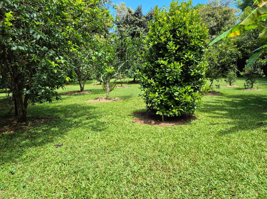 Sharlynn Bed & Breakfast主图