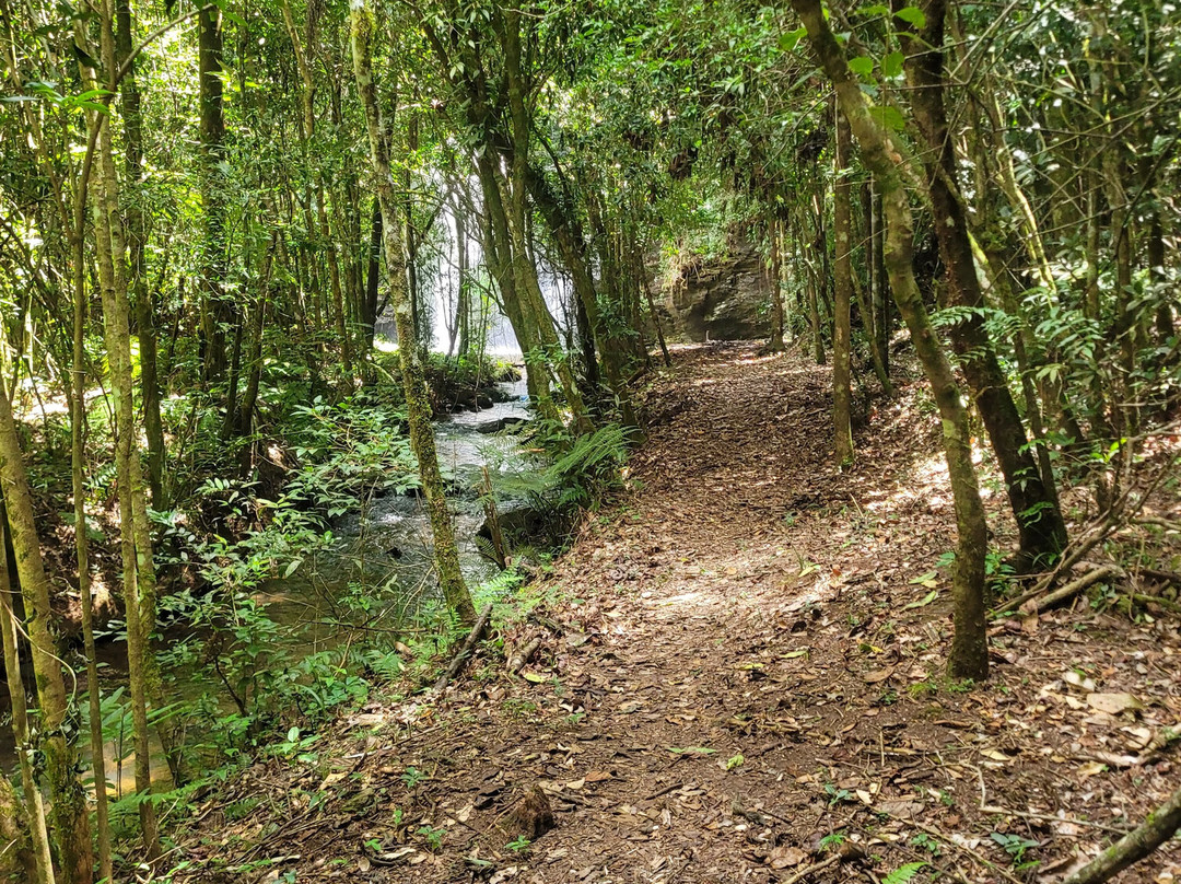 Cachoeira de São Bartolomeu-Sao Bartolomeu必去景点