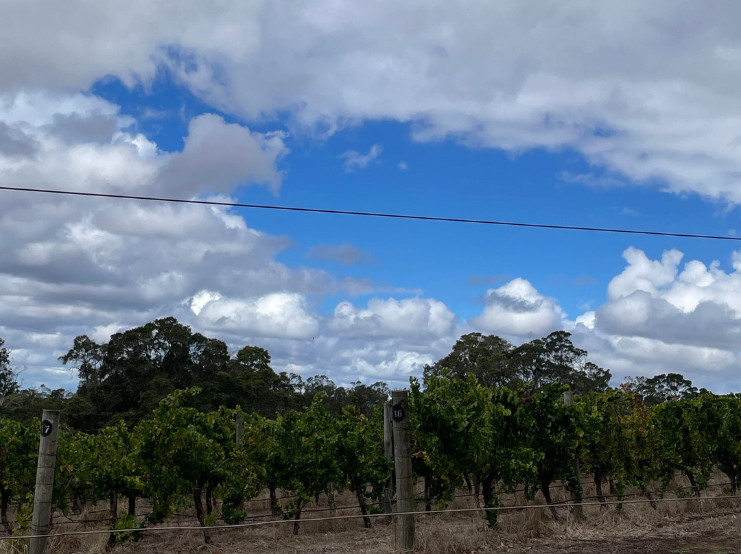 Castle Rock Estate-Porongurup必去景点
