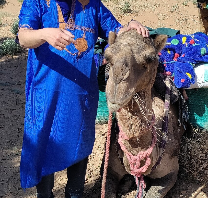 Discover Sahara-扎古拉必去景点