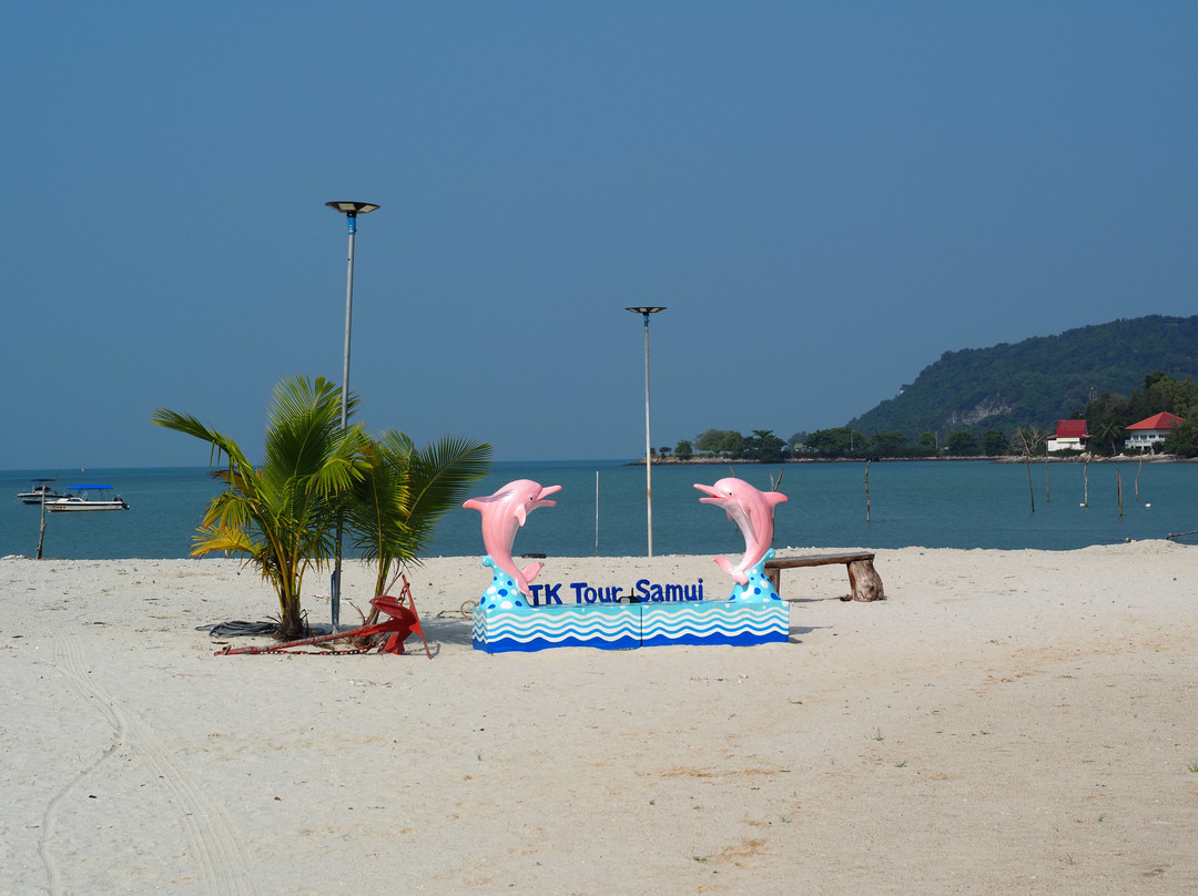 TK Tour-塔林必去景点