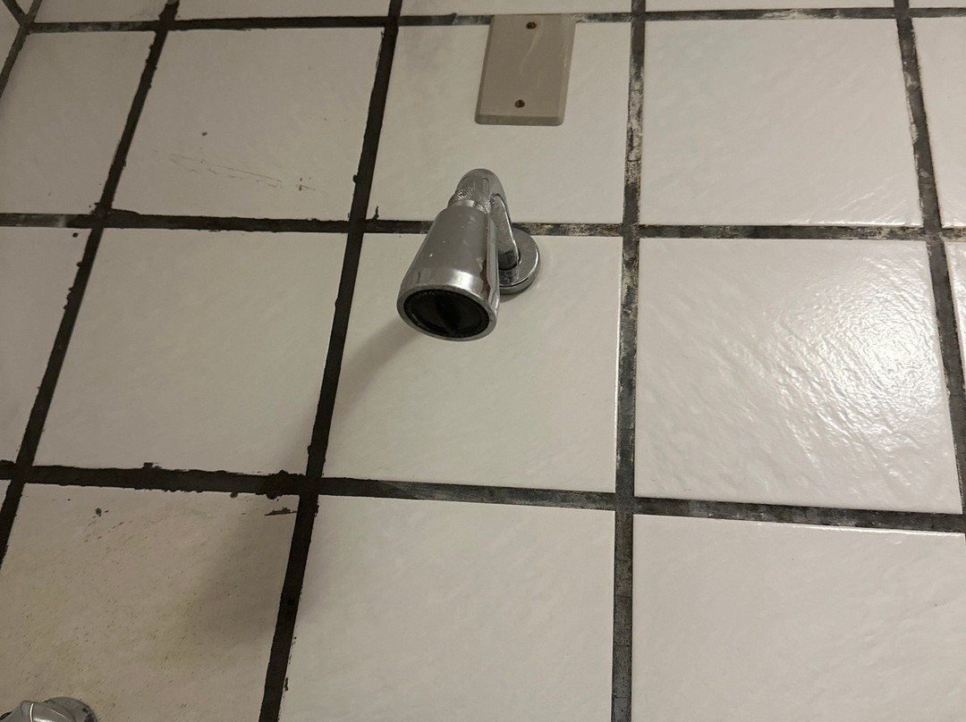 Hotel Eco da Floresta主图