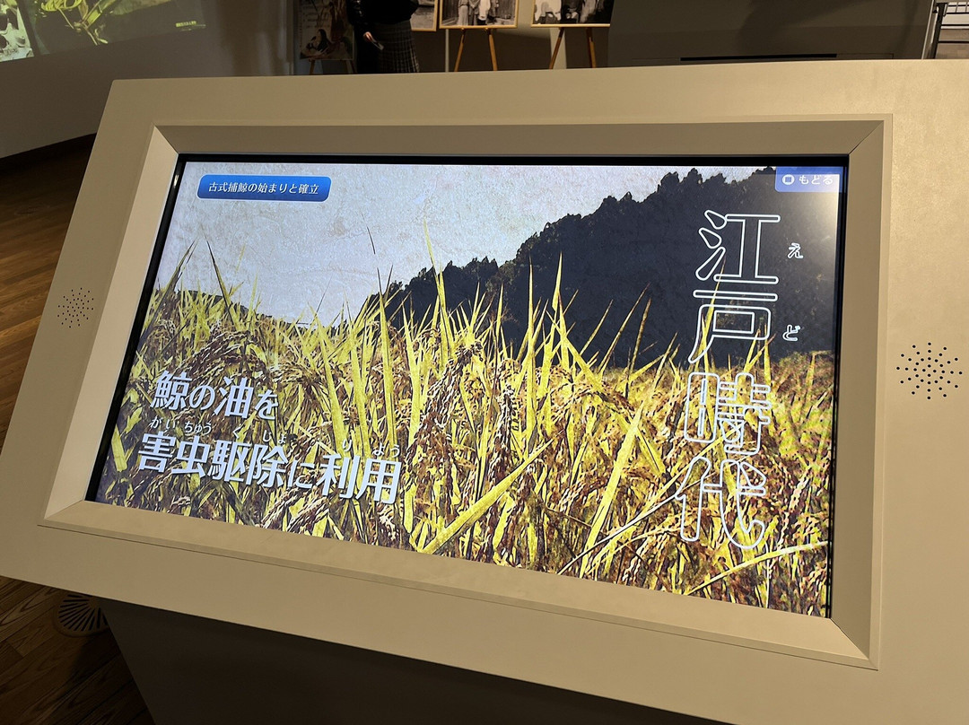 Whale Town Oshika-石卷市必去景点