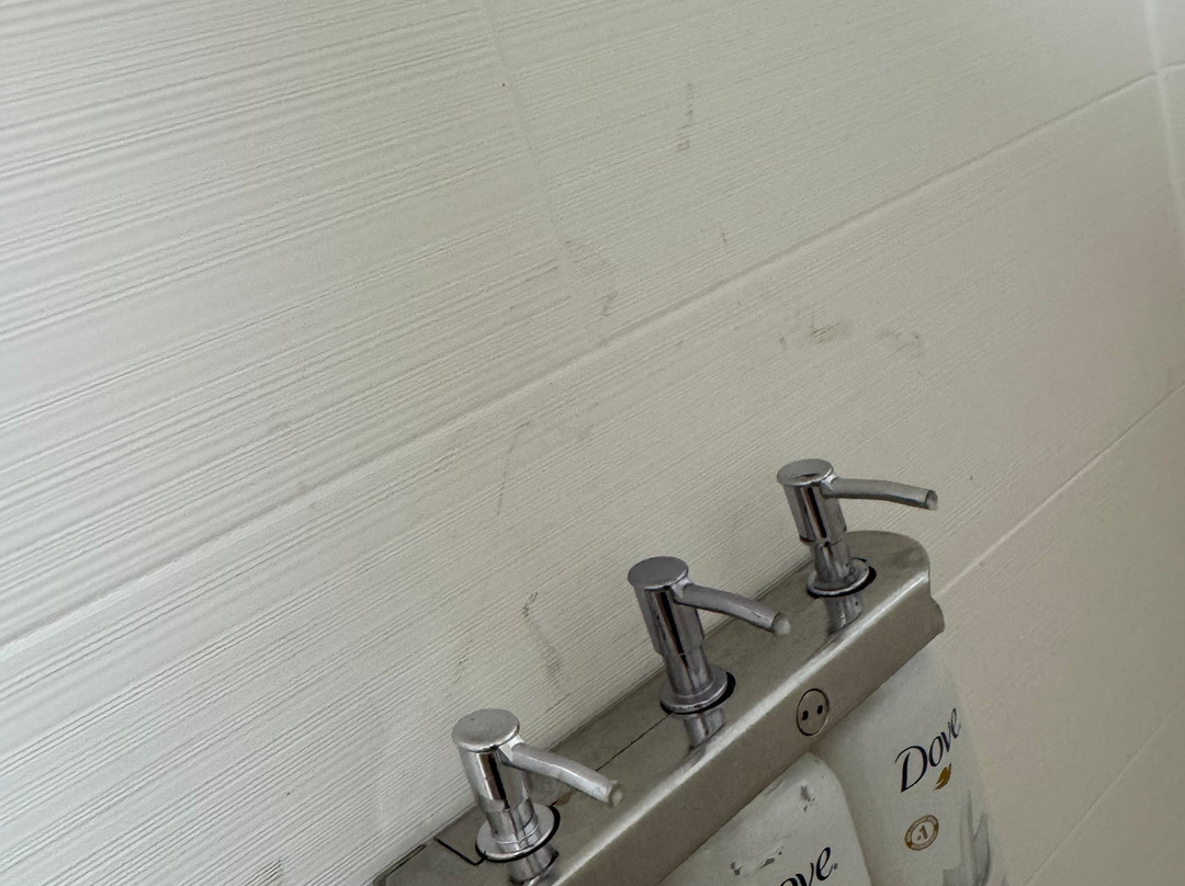 Holiday Inn Express & Suites Charleston-kanawha City By IHG主图