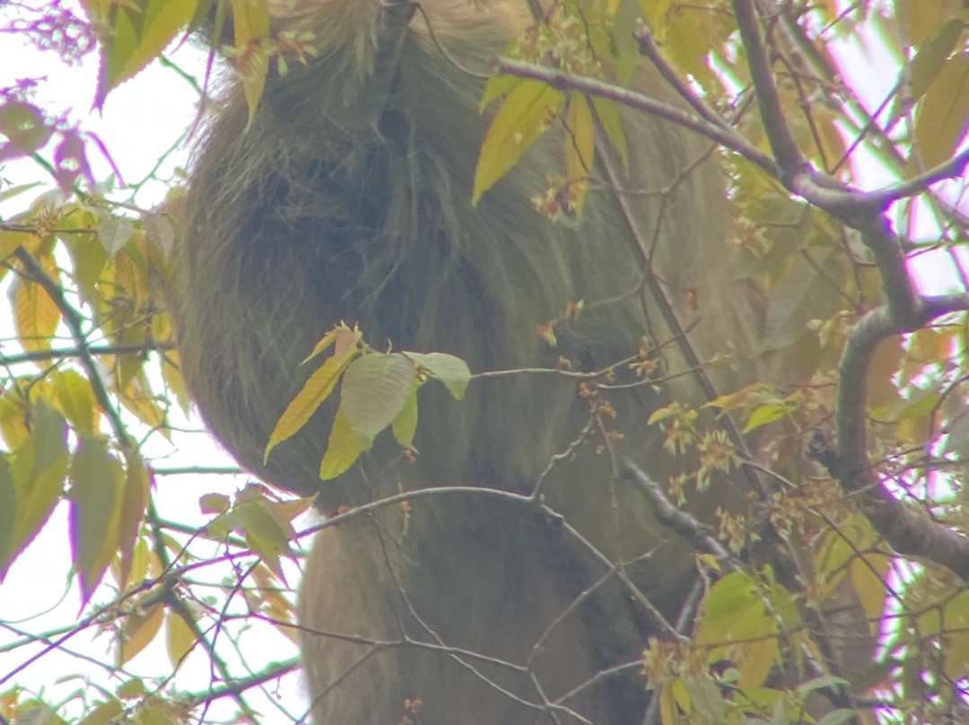 Jason Lara Tours-波魁特必去景点