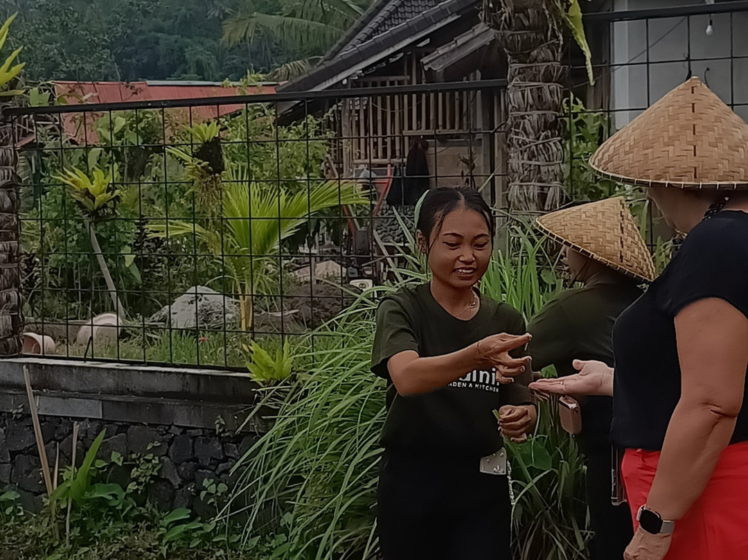 Anandinii Organic Garden & Kitchen-席德门必去景点