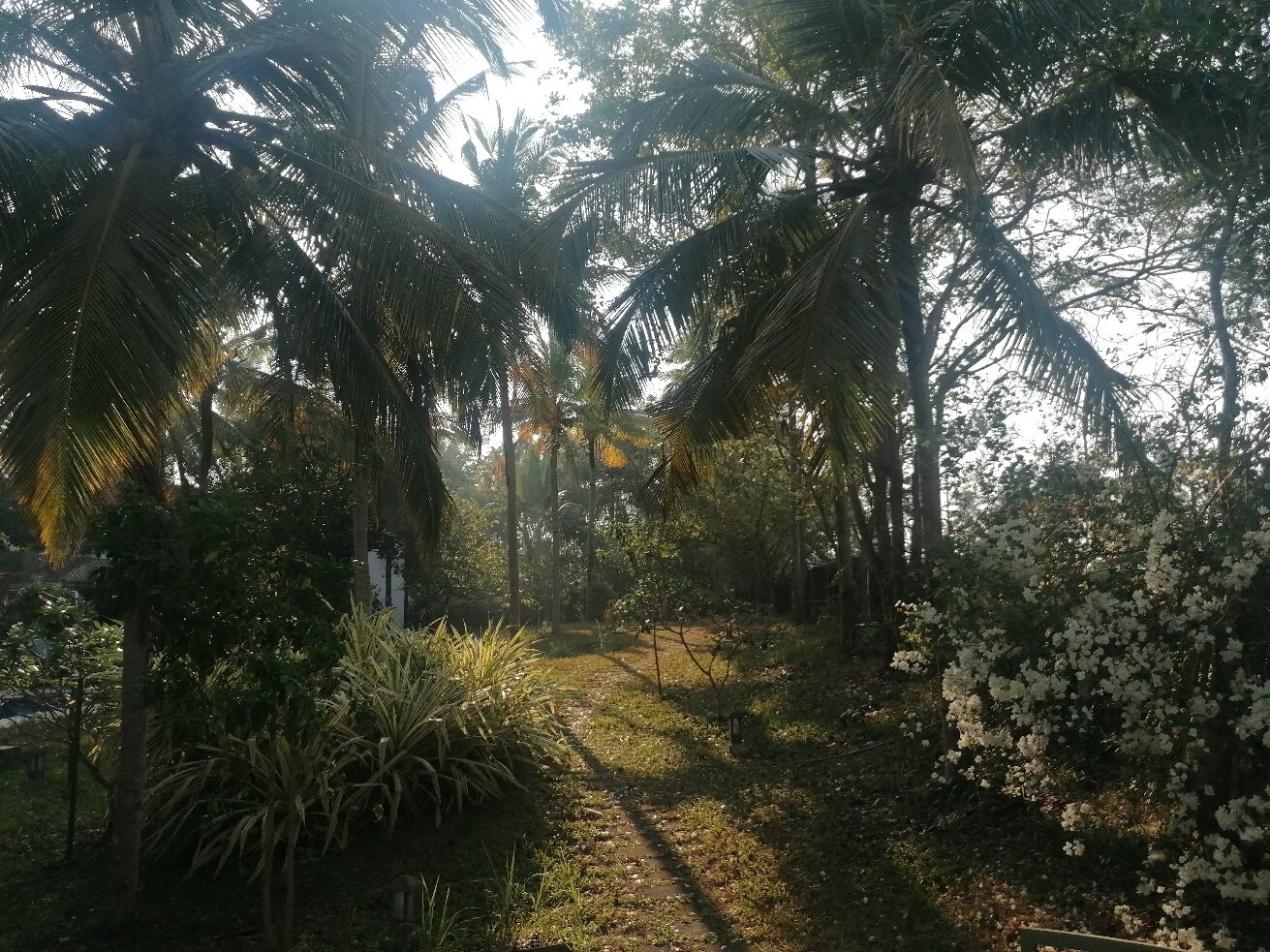 Aanandakosha Ayurveda Retreat-官方