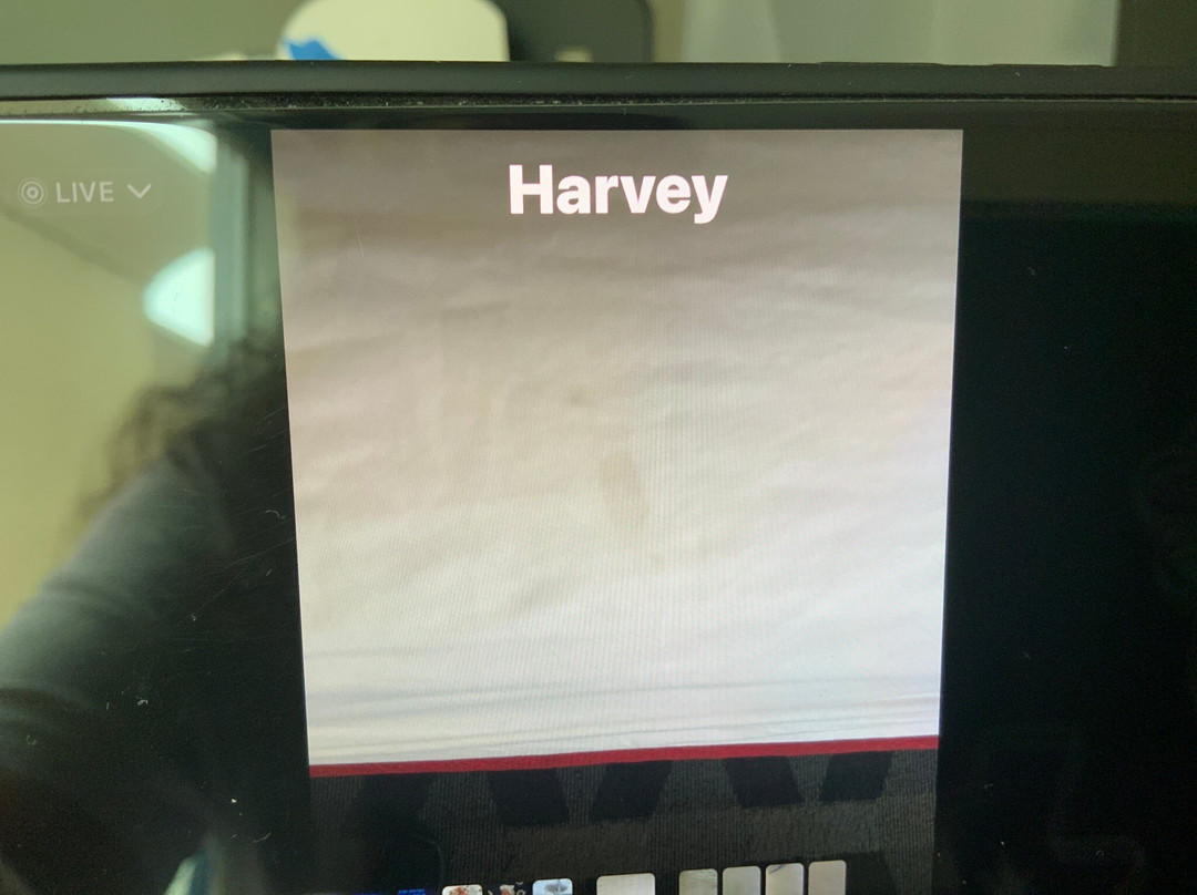 TownePlace Suites by Marriott New Orleans Harvey/West Bank主图