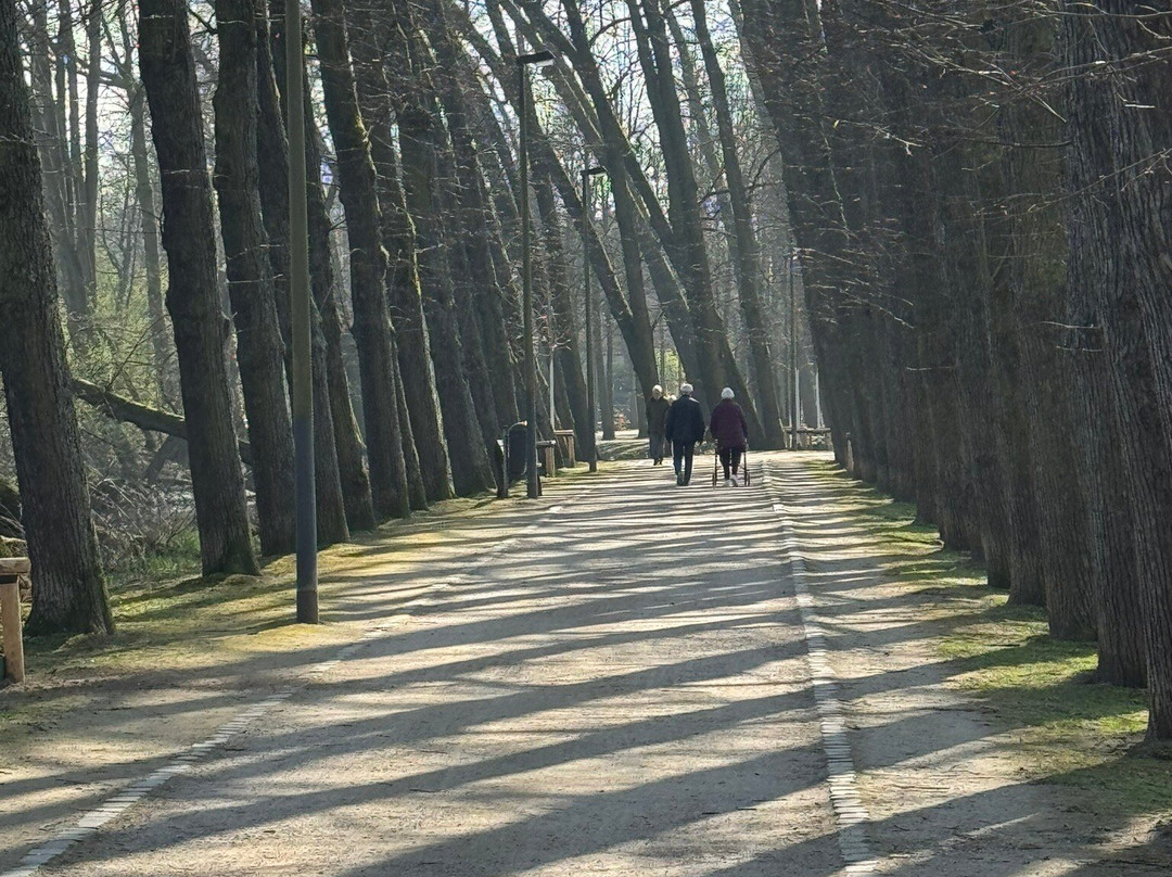 Schlosspark Wickrath景点图片