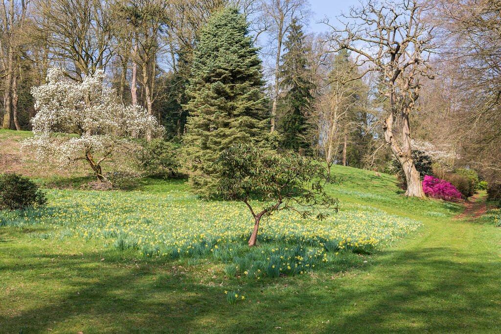 Cholmondeley Castle Gardens景点图片