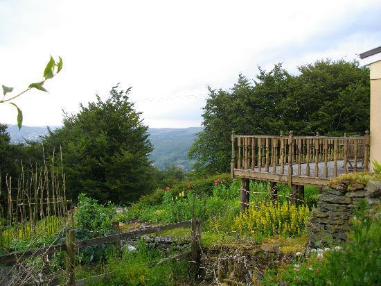 Ty Shon Jacob Farm主图