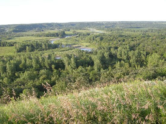 Sanctuary Guest House & Tearoom主图