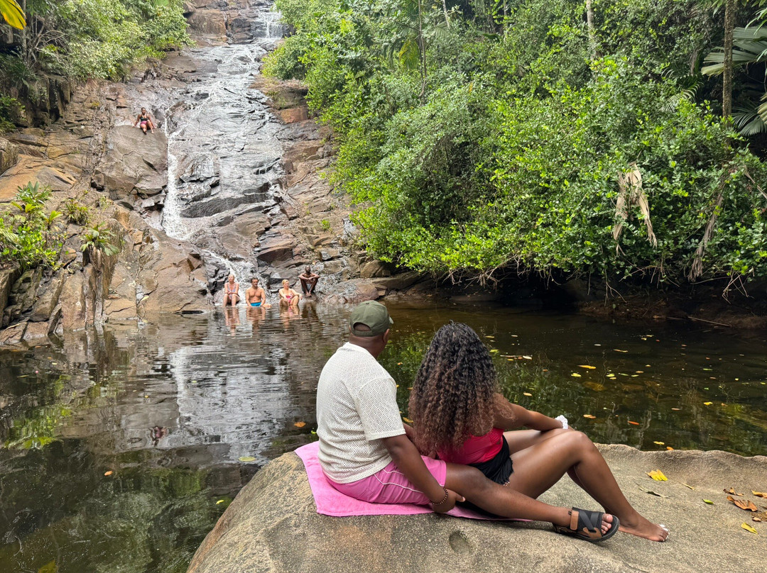 Sauzier Waterfall景点图片