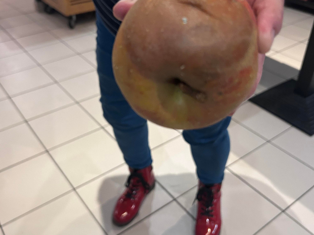 玛丽娜酒店主图