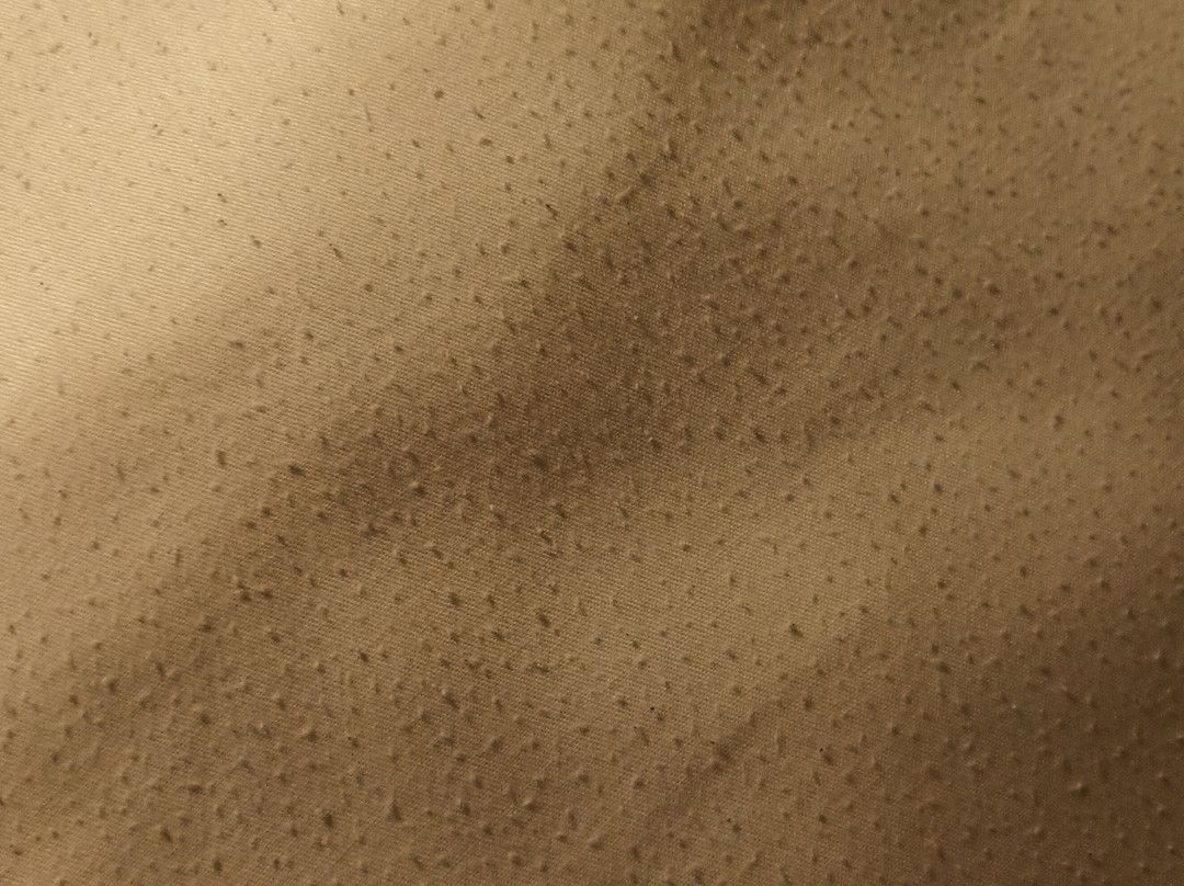 Premium Tower Suites主图