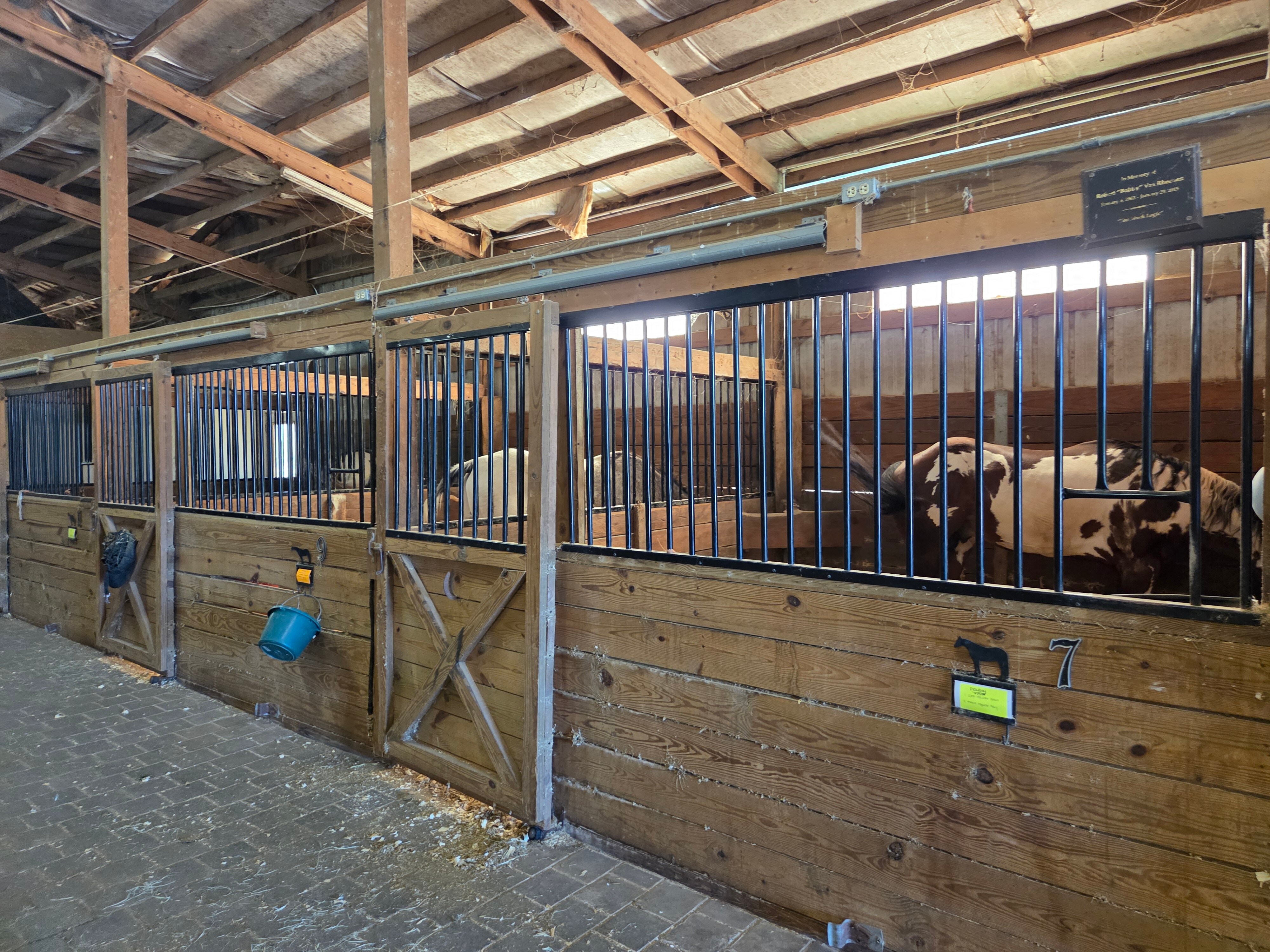 Southern Cross Ranch-官方