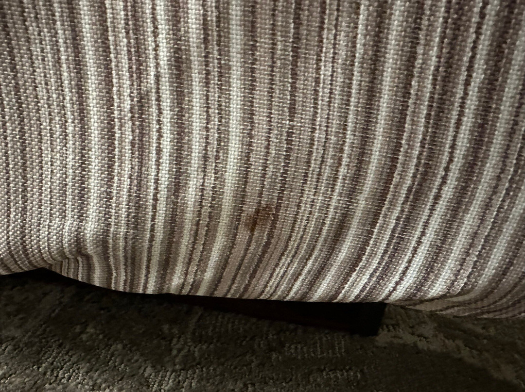 SpringHill Suites by Marriott Cleveland Solon主图