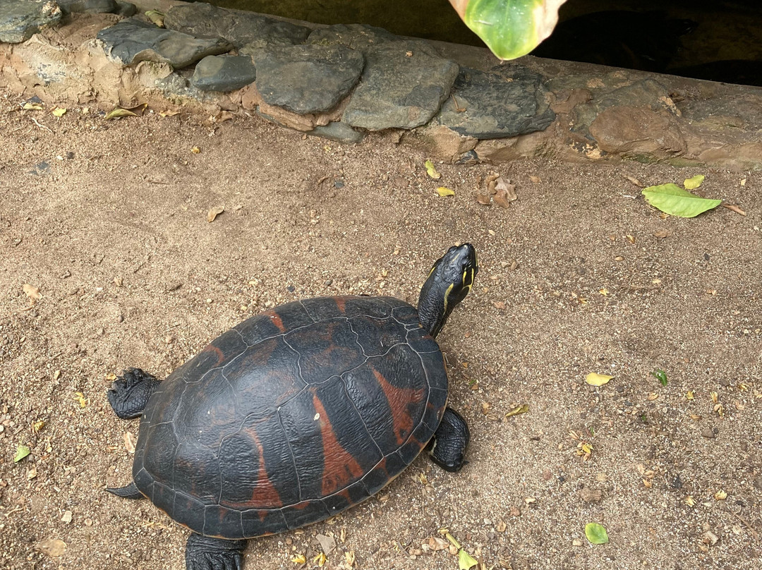 Orquidea Guest House主图