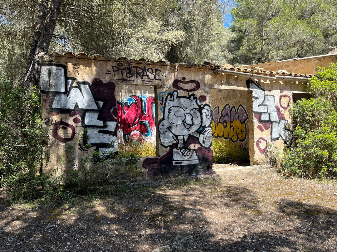 Rent a Bike Schulz & Junior-Cala Ratjada必去景点