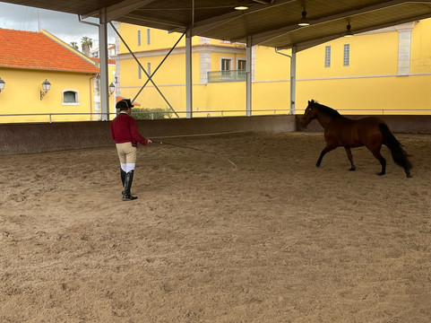 A Escola Portuguesa de Arte Equestre-里斯本必去景点