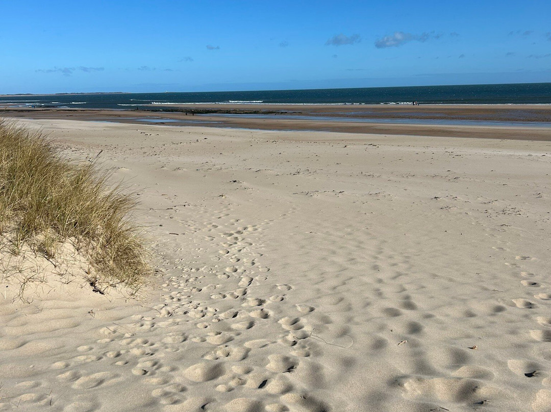 Cresswell Beach景点图片