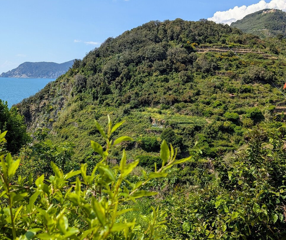 Borgo Storico di Corniglia-Corniglia必去景点