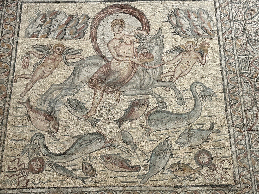 Roman Ruins of Djemila景点图片