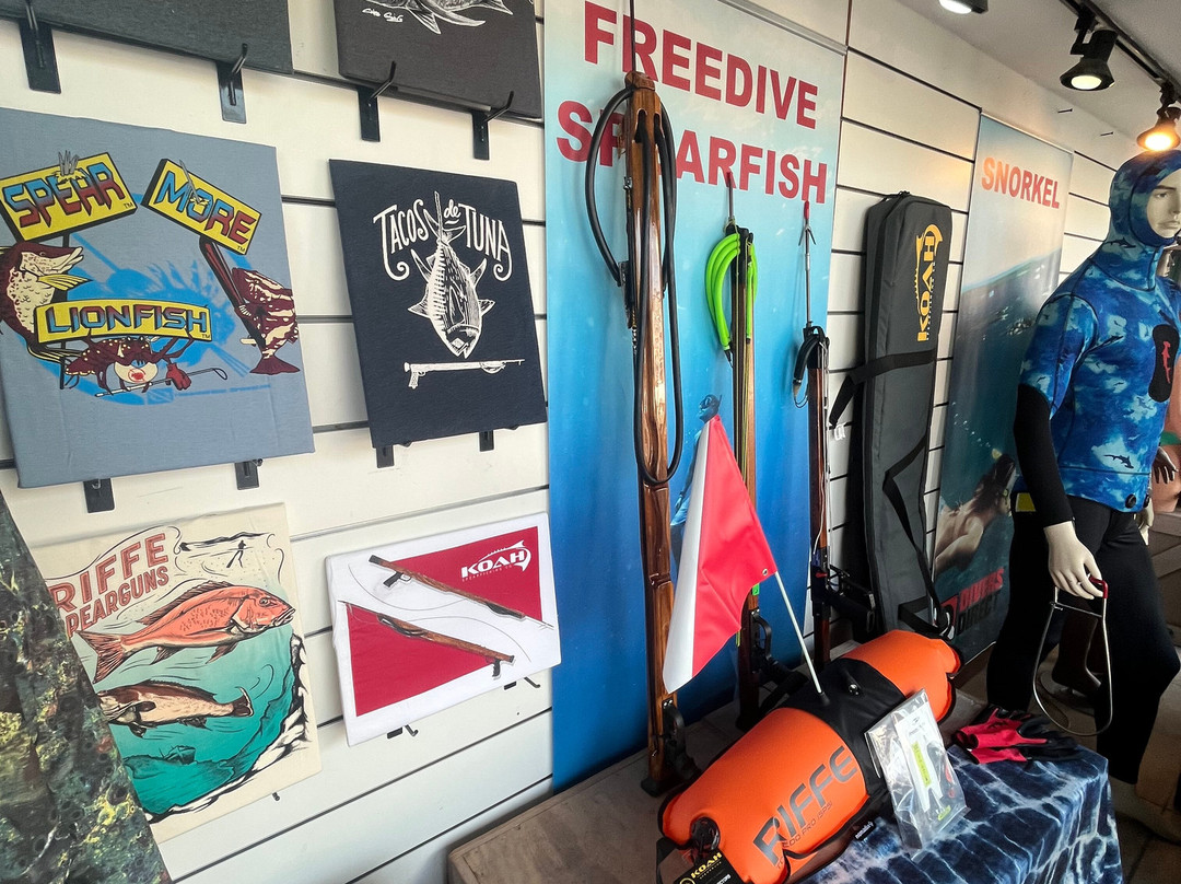 Divers Direct Key West-基韦斯特必去景点