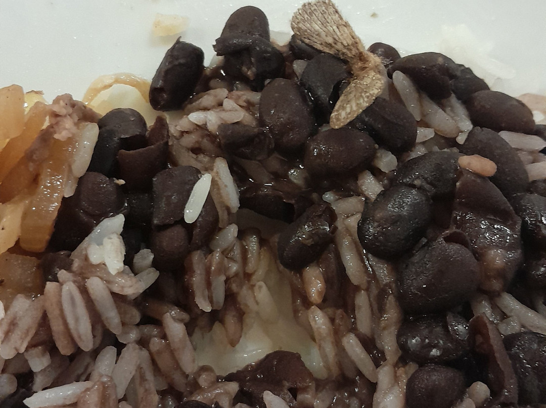 Abre Campo酒店住宿-Salão Manancial