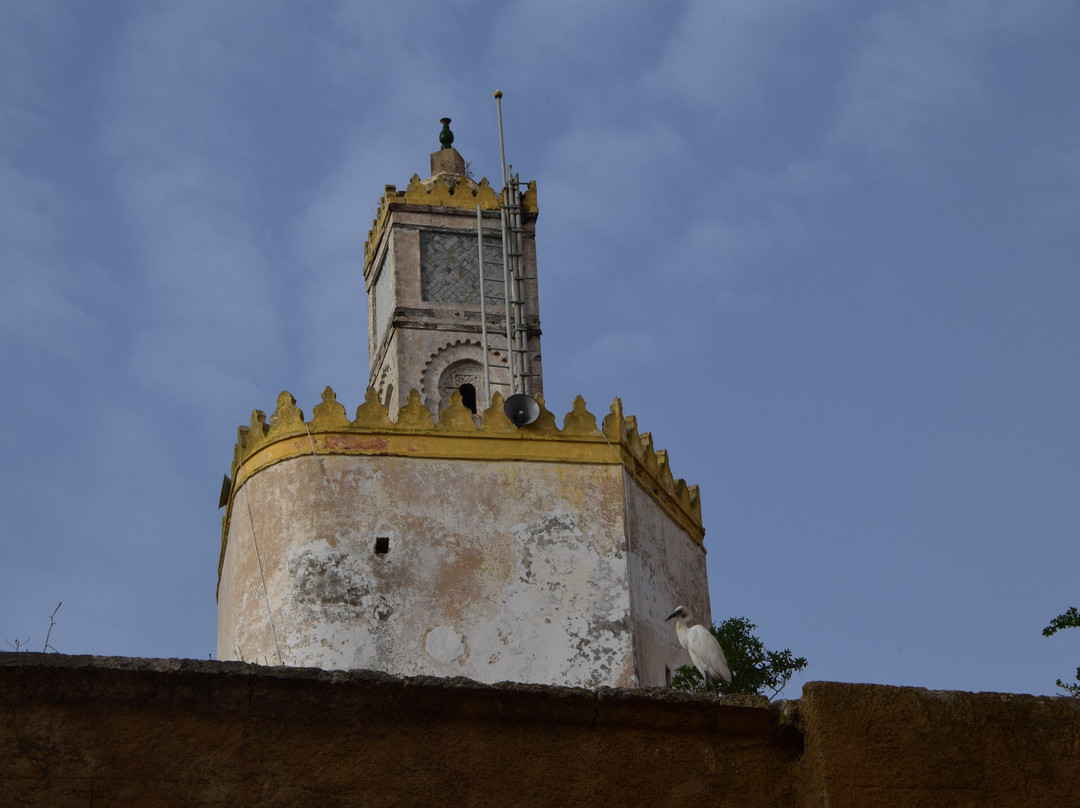 Mosquee de la Cite Portugaise-摩洛哥-马扎甘葡萄牙城必去景点