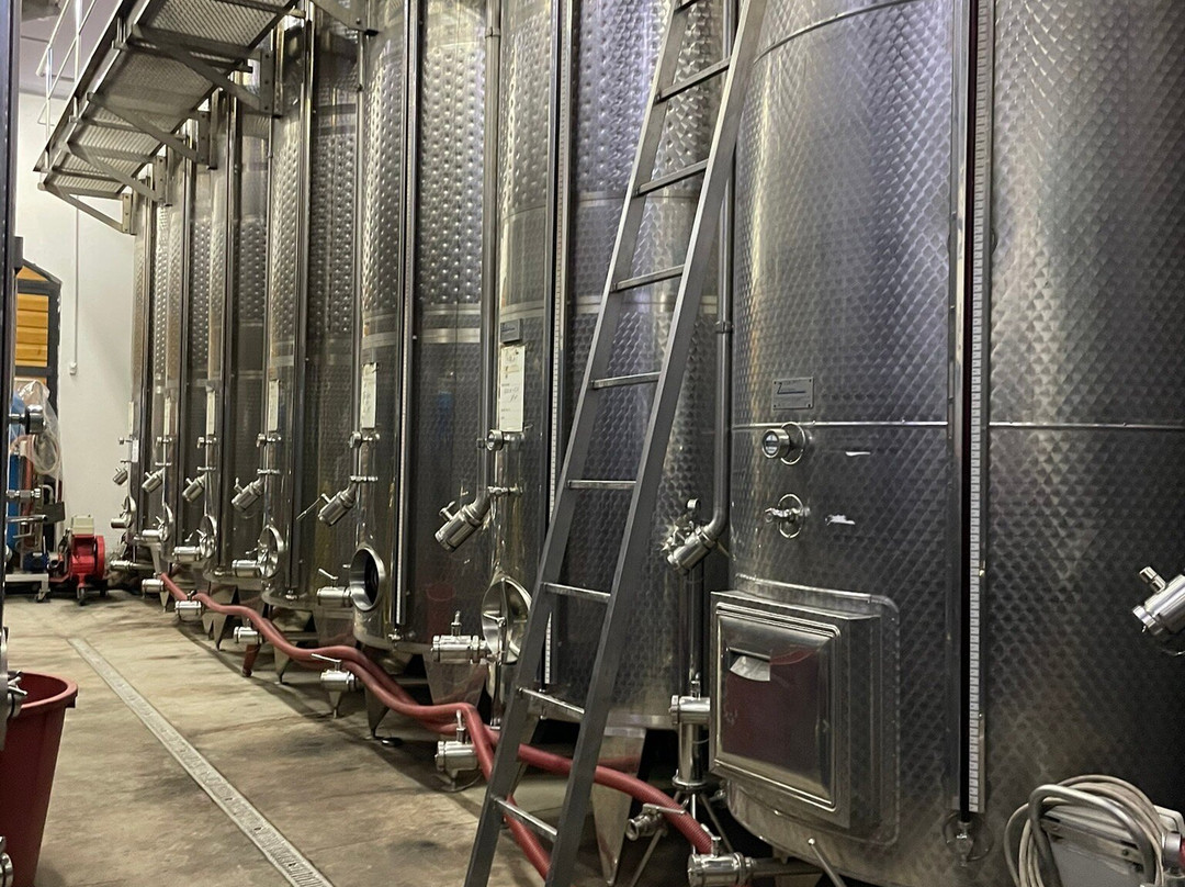 Fattoria La Tancia - LA TANCIA WINERY景点图片