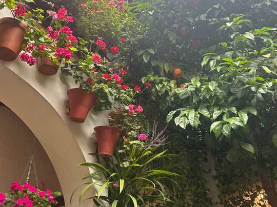 Eventour-科尔多瓦必去景点