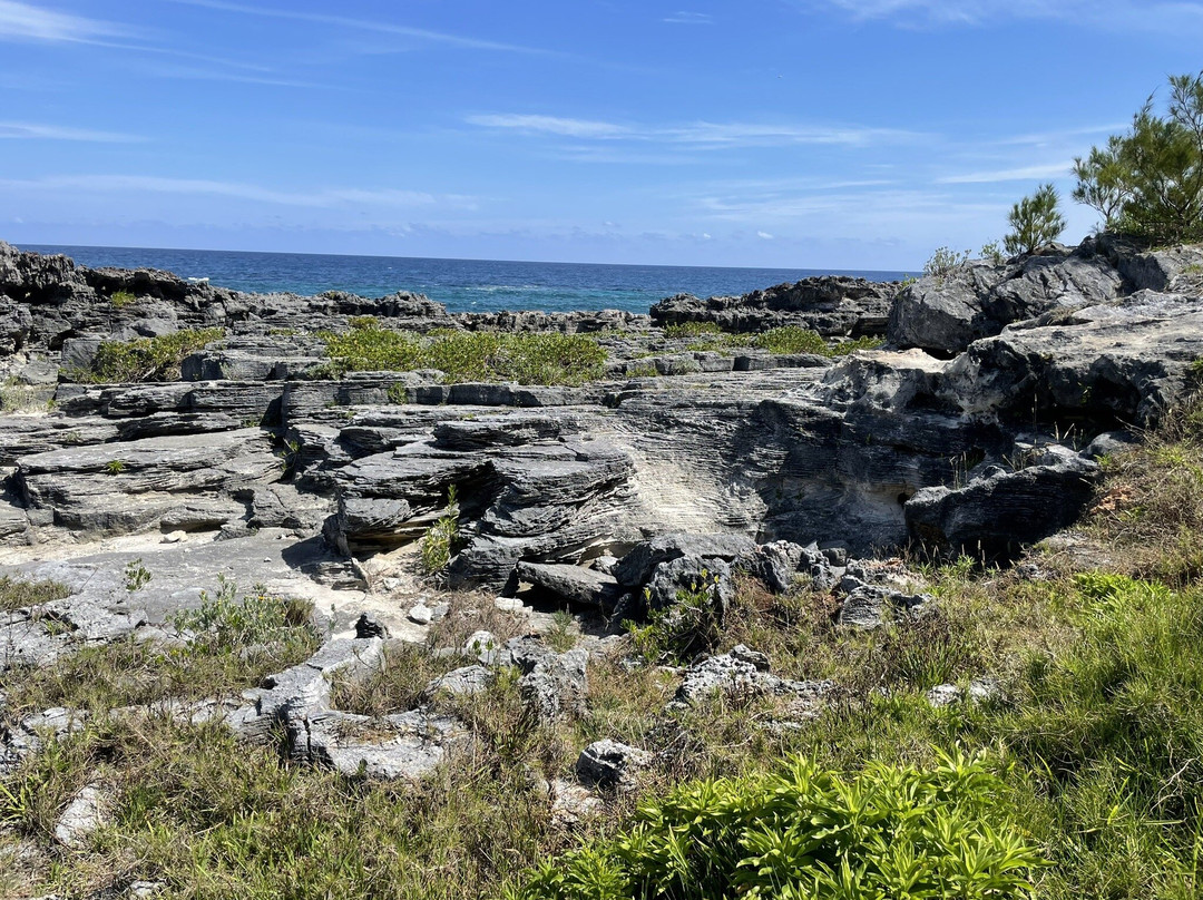Spittal Pond Nature Reserve-百慕大必去景点